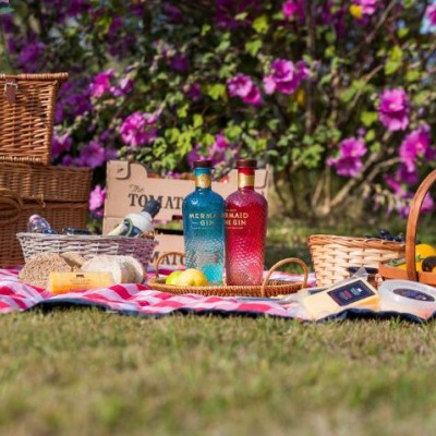 Our Favourite Picnic Spots on the Isle of Wight