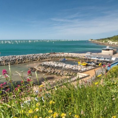 Festival Island