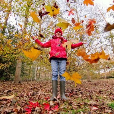 Autumn Colour on the Isle of Wight