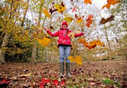 Autumn Colour on the Isle of Wight