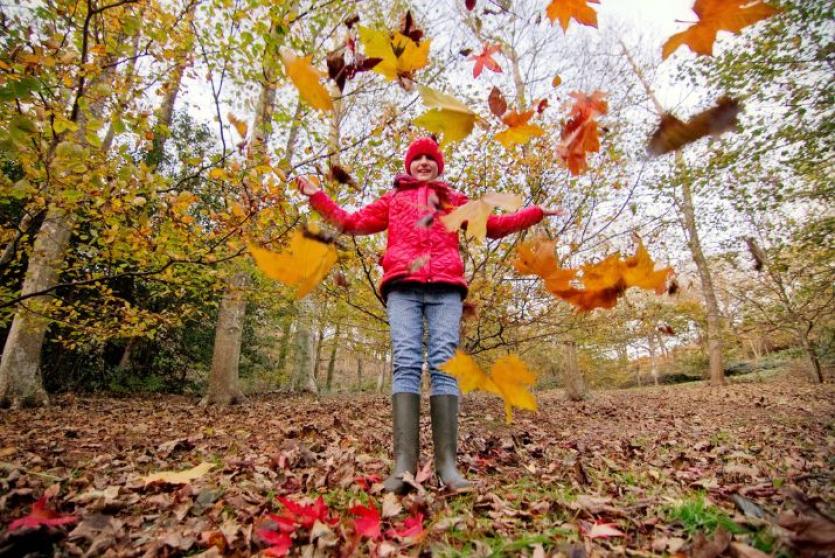 Autumn Colour on the Isle of Wight