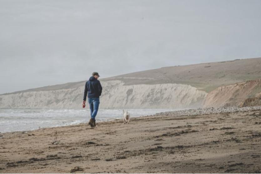 Best winter dog walks on the Isle of Wight